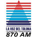 La voz del Tolima logo