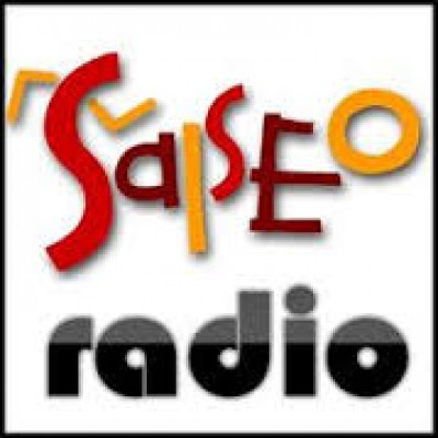 Logo di Salseo Radio