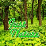 Logo di 101.RU / Sounds of Nature