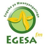 Logo von Egesa FM