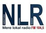 Logotipo de Næstved Lokalradio 104,5