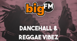 Logo di BigFM Dancehall & Reggae Vibez