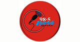 ASKiNG Radio 98.5 SPEED FM logo