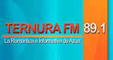 Ternura 89.1 FM logo