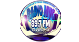 Logotipo de Radio Nouvelle Vision Chretienne des Gonaïves