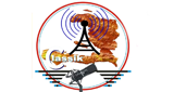Logo di Radio Classic FM